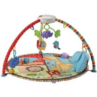 Fisher price hot sale luv you zoo